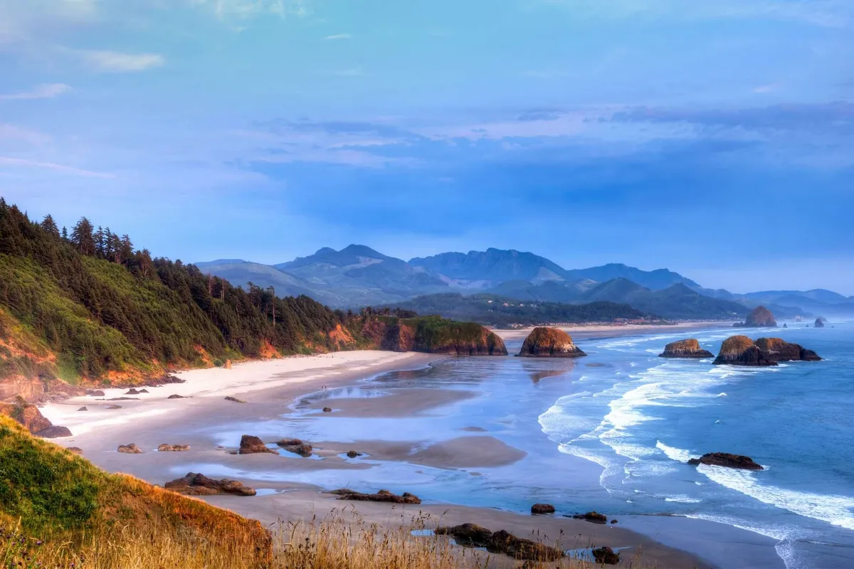 A sweeping view of the coast, featuring ocean waves, rocky outcrops, distant mountains, a sandy beach, and the edge of a coastal forest. The scene is tranquil and expansive, ideal for beachcombing or wildlife watching.