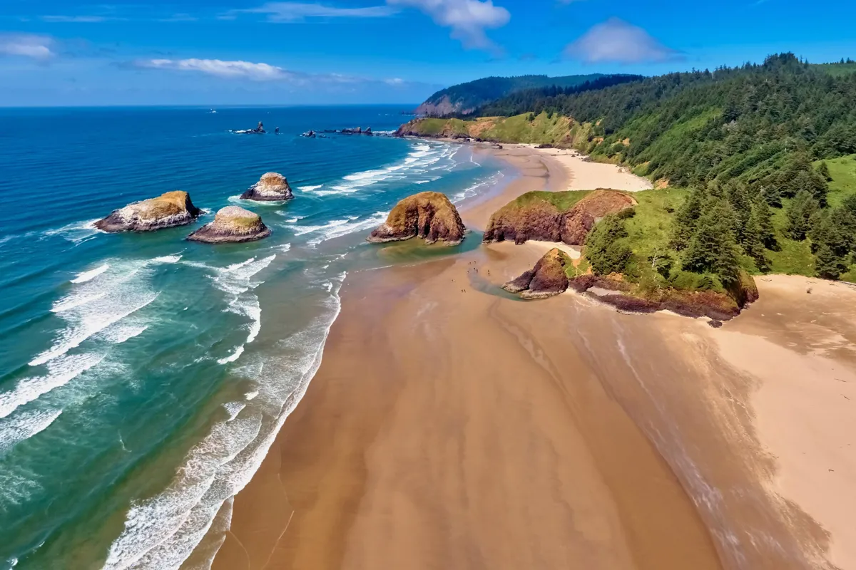 This image captures a tranquil coastal landscape featuring distinctive rock formations, gentle waves lapping a sandy beach, and a lush forest backdrop. The natural beauty is serene and inviting, hinting at opportunities for wildlife spotting and nature walks along the shoreline.